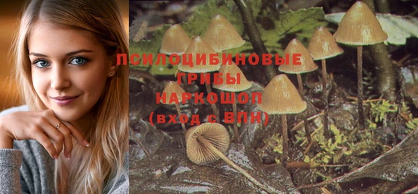 марки lsd Аркадак