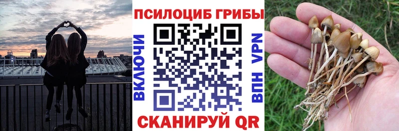 Галлюциногенные грибы мухоморы  магазин    Разумное 